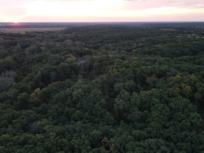 Southern Iowa Gem! Pristine 85 acre Hunting Farm Exline IA - image 19