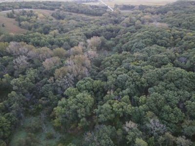 Southern Iowa Gem! Pristine 85 acre Hunting Farm Exline IA - image 10