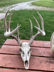 Southern Iowa Gem! Pristine 85 acre Hunting Farm Exline IA - image 32
