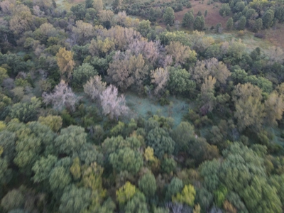 Southern Iowa Gem! Pristine 85 acre Hunting Farm Exline IA - image 6