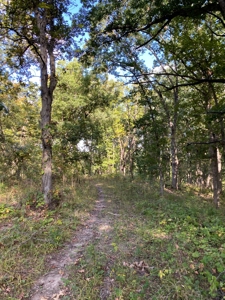 Southern Iowa Gem! Pristine 85 acre Hunting Farm Exline IA - image 45
