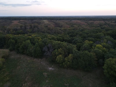Southern Iowa Gem! Pristine 85 acre Hunting Farm Exline IA - image 26