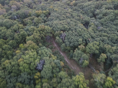 Southern Iowa Gem! Pristine 85 acre Hunting Farm Exline IA - image 21
