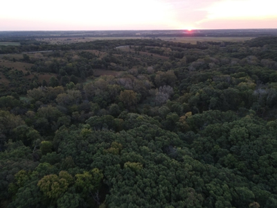 Southern Iowa Gem! Pristine 85 acre Hunting Farm Exline IA - image 20