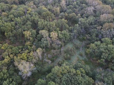 Southern Iowa Gem! Pristine 85 acre Hunting Farm Exline IA - image 11