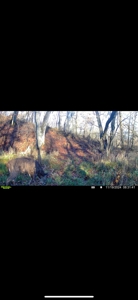 Southern Iowa Gem! Pristine 85 acre Hunting Farm Exline IA - image 47