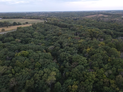 Southern Iowa Gem! Pristine 85 acre Hunting Farm Exline IA - image 8