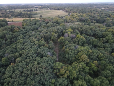 Southern Iowa Gem! Pristine 85 acre Hunting Farm Exline IA - image 2