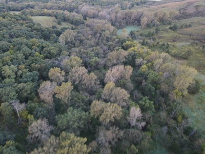 Southern Iowa Gem! Pristine 85 acre Hunting Farm Exline IA - image 4