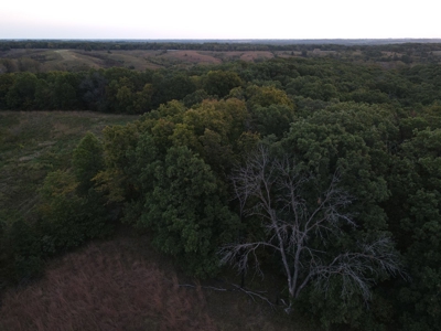 Southern Iowa Gem! Pristine 85 acre Hunting Farm Exline IA - image 29