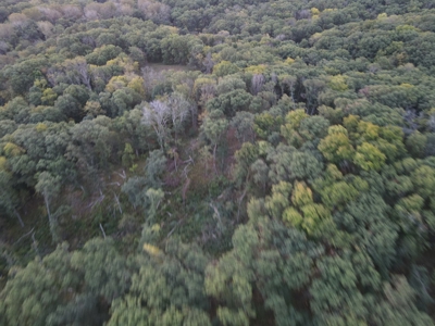 Southern Iowa Gem! Pristine 85 acre Hunting Farm Exline IA - image 18