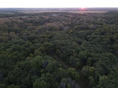 Southern Iowa Gem! Pristine 85 acre Hunting Farm Exline IA - image 22
