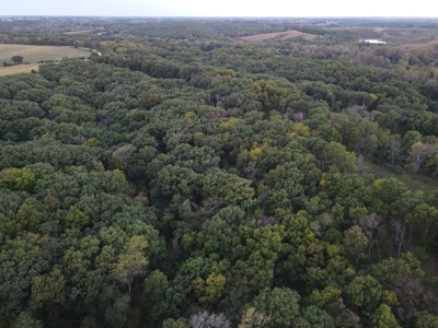 Southern Iowa Gem! Pristine 85 acre Hunting Farm Exline IA - image 14