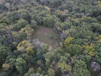 Southern Iowa Gem! Pristine 85 acre Hunting Farm Exline IA - image 17