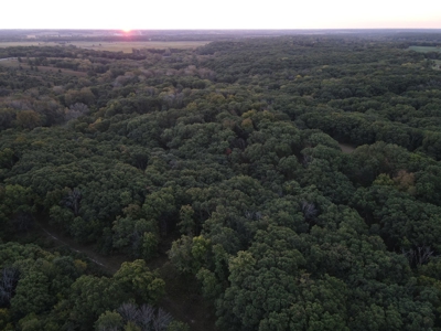 Southern Iowa Gem! Pristine 85 acre Hunting Farm Exline IA - image 23