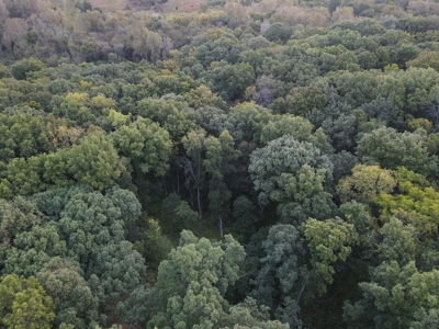 Southern Iowa Gem! Pristine 85 acre Hunting Farm Exline IA - image 25