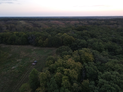 Southern Iowa Gem! Pristine 85 acre Hunting Farm Exline IA - image 27