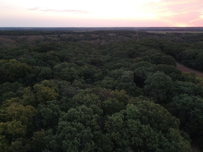 Southern Iowa Gem! Pristine 85 acre Hunting Farm Exline IA - image 28