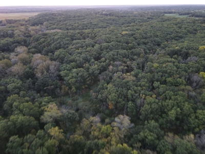 Southern Iowa Gem! Pristine 85 acre Hunting Farm Exline IA - image 16