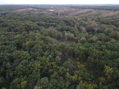 Southern Iowa Gem! Pristine 85 acre Hunting Farm Exline IA - image 13