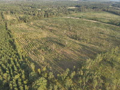 Planted Pine W/ Creek W/ Hwy Utilities sale near Bismarck,AR - image 5