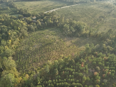 Planted Pine W/ Creek W/ Hwy Utilities sale near Bismarck,AR - image 8