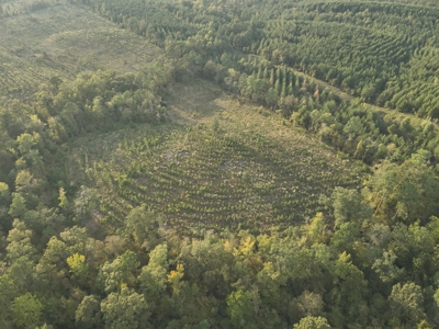 Planted Pine W/ Creek W/ Hwy Utilities sale near Bismarck,AR - image 9