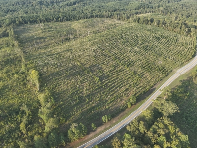 Planted Pine W/ Creek W/ Hwy Utilities sale near Bismarck,AR - image 3