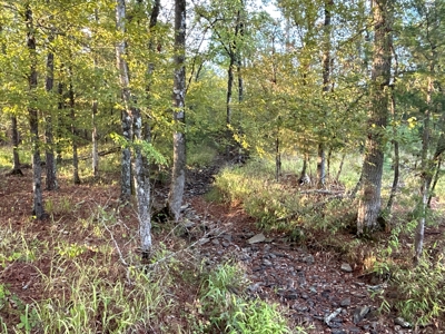 Planted Pine W/ Creek W/ Hwy Utilities sale near Bismarck,AR - image 11