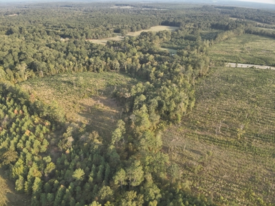 Planted Pine W/ Creek W/ Hwy Utilities sale near Bismarck,AR - image 7