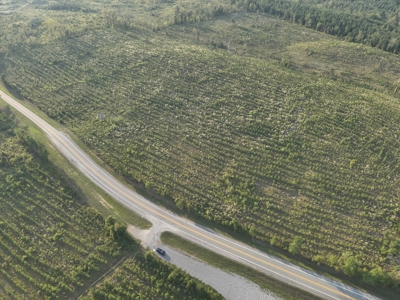 Planted Pine W/ Creek W/ Hwy Utilities sale near Bismarck,AR - image 2