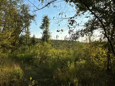 Planted Pine W/ Creek W/ Hwy Utilities sale near Bismarck,AR - image 13