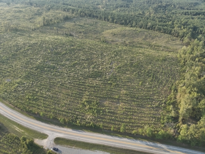 Planted Pine W/ Creek W/ Hwy Utilities sale near Bismarck,AR - image 1