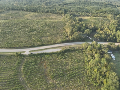 Planted Pine W/ Creek W/ Hwy Utilities sale near Bismarck,AR - image 10