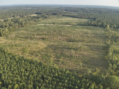 Planted Pine W/ Creek W/ Hwy Utilities sale near Bismarck,AR - image 6