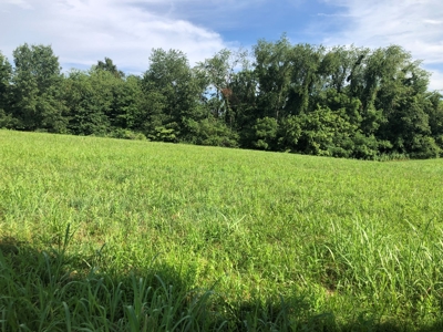 Land for Sale in Abingdon VA - image 6
