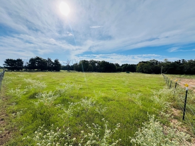 4.5 EAST TEXAS ACRES with WATER, ELECTRIC, SEPTIC, FENCING - image 14