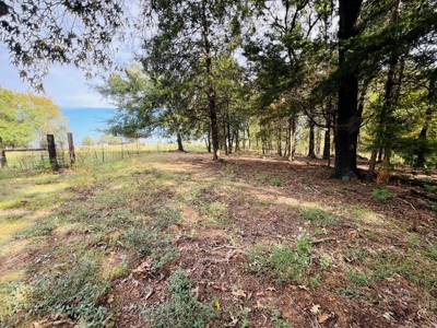 4.5 EAST TEXAS ACRES with WATER, ELECTRIC, SEPTIC, FENCING - image 2