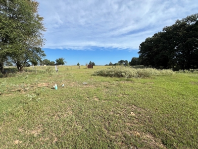 4.5 EAST TEXAS ACRES with WATER, ELECTRIC, SEPTIC, FENCING - image 3