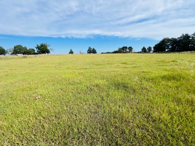 4.5 EAST TEXAS ACRES with WATER, ELECTRIC, SEPTIC, FENCING - image 10