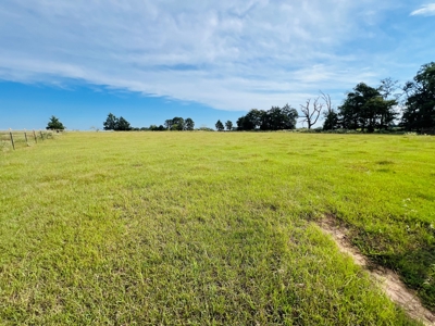 4.5 EAST TEXAS ACRES with WATER, ELECTRIC, SEPTIC, FENCING - image 7