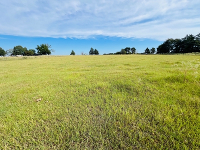 4.5 EAST TEXAS ACRES with WATER, ELECTRIC, SEPTIC, FENCING - image 9