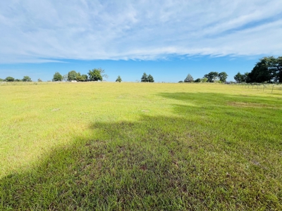 4.5 EAST TEXAS ACRES with WATER, ELECTRIC, SEPTIC, FENCING - image 6