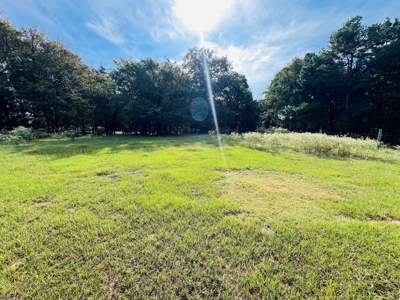 4.5 EAST TEXAS ACRES with WATER, ELECTRIC, SEPTIC, FENCING - image 4
