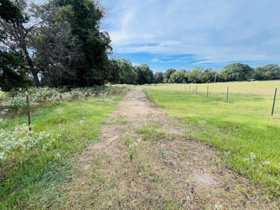 4.5 EAST TEXAS ACRES with WATER, ELECTRIC, SEPTIC, FENCING - image 1