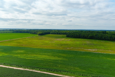 Southeast Mo Row Crop And Waterfowl Hunting Land Auction - image 2