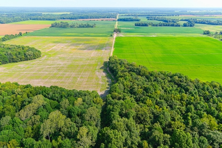 Southeast Mo Row Crop And Waterfowl Hunting Land Auction - image 8