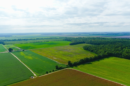 Southeast Mo Row Crop And Waterfowl Hunting Land Auction - image 5