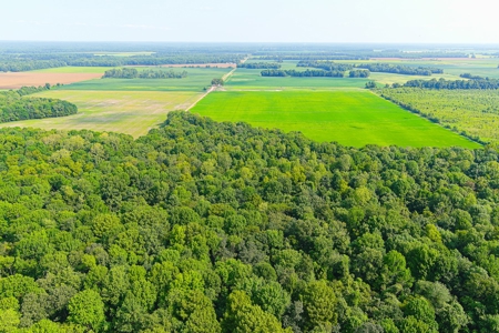 Southeast Mo Row Crop And Waterfowl Hunting Land Auction - image 9