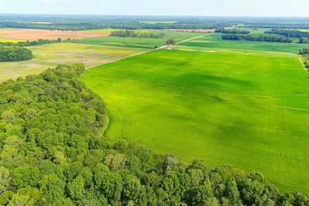 Southeast Mo Row Crop And Waterfowl Hunting Land Auction - image 1